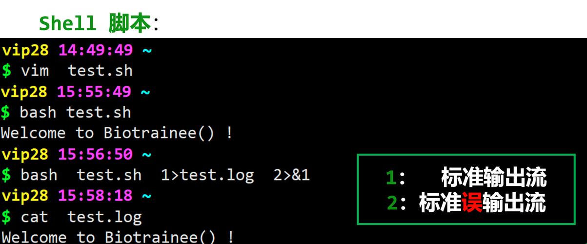 Linux Java环境变量怎么查？-图3