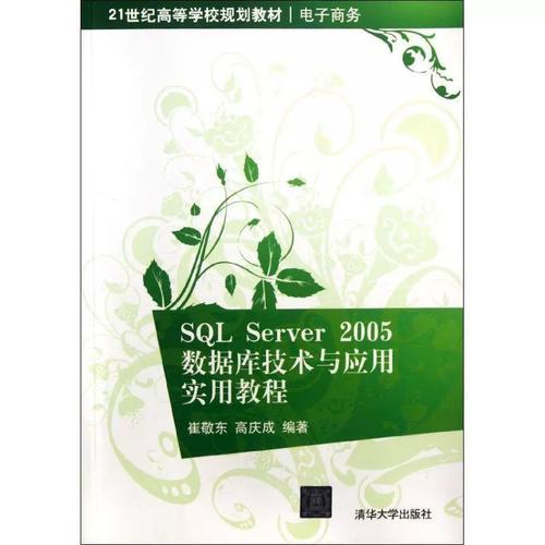 SQL Server 2005教程，如何快速上手？-图2
