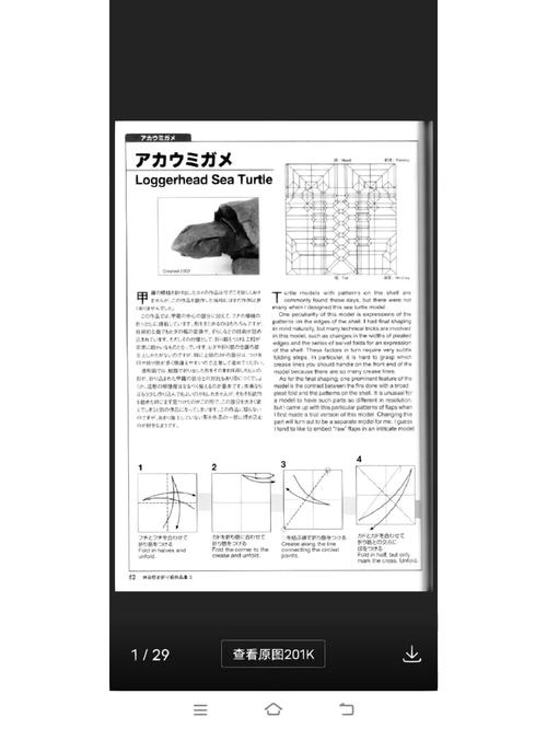 SharpDevelop教程，如何快速上手开发？-图1
