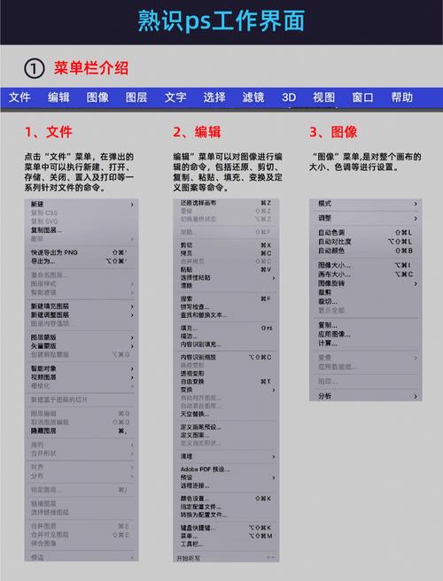 photoshop高级视频教程-图3