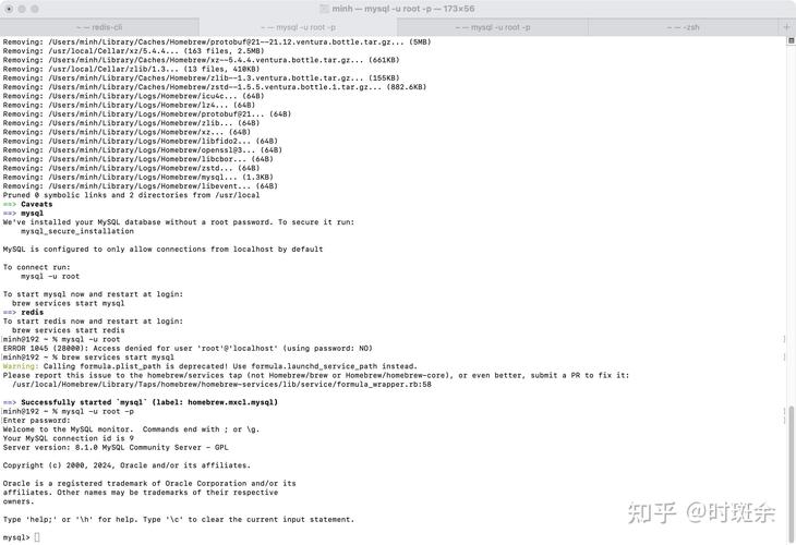 mysql for mac教程-图2