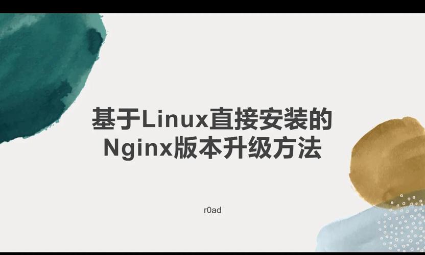 centos安装nginx教程-图2