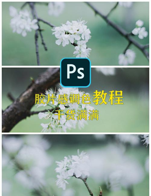Photoshop教程视频怎么学更高效?-图1 Photoshop教程视频怎么学更高效?-图1