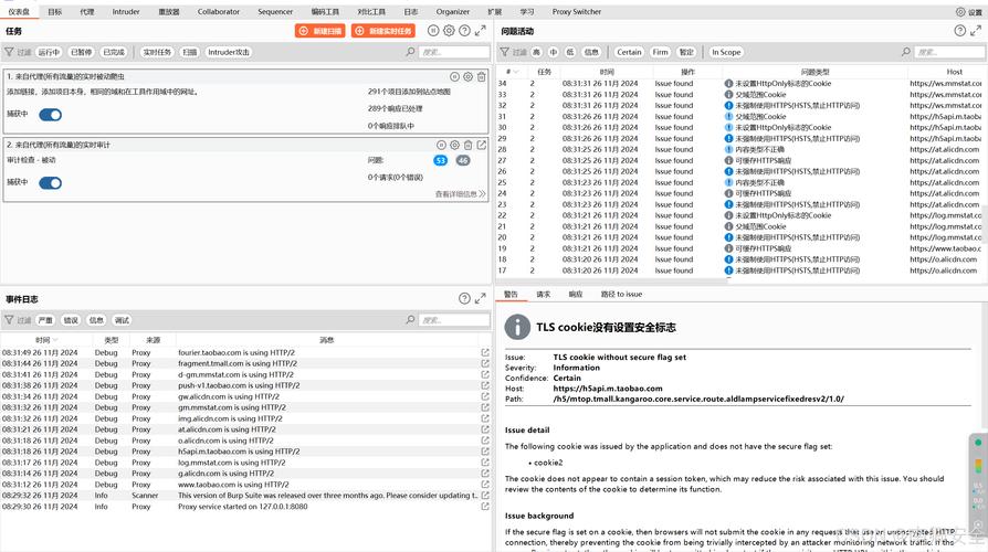 Burp Suite下载安装教程哪步最易出错？-图2