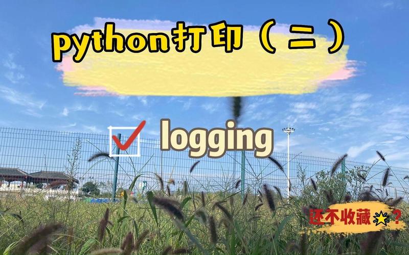 python logging的基本使用-图1