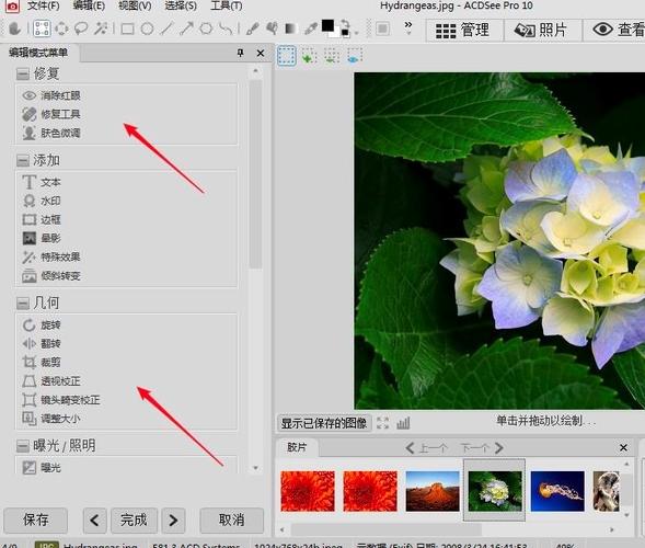 acdsee pro 6教程-图3 acdsee pro 6教程-图3