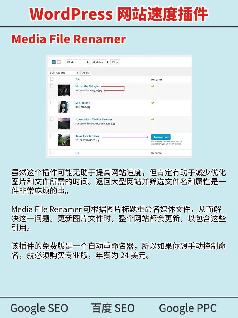 WordPress插件教程如何快速上手？-图3