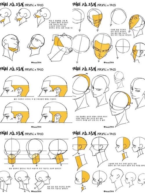 Anime Studio教程该怎么学?入门到精通有路径吗?-图1 Anime Studio教程该怎么学?入门到精通有路径吗?-图1