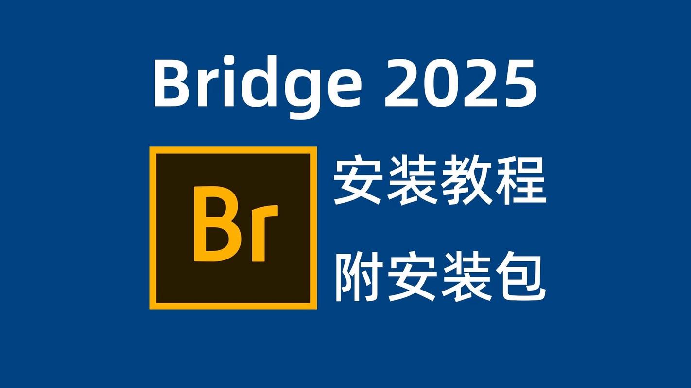 Adobe Bridge怎么用？快速上手指南-图2