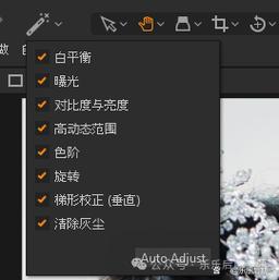 Capture One教程怎么学才高效？-图3