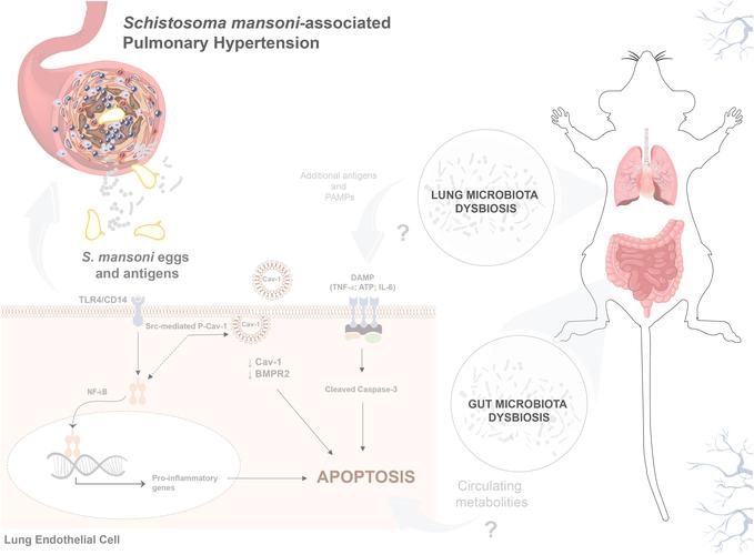如何用InDesign制作专业PDF？-图3