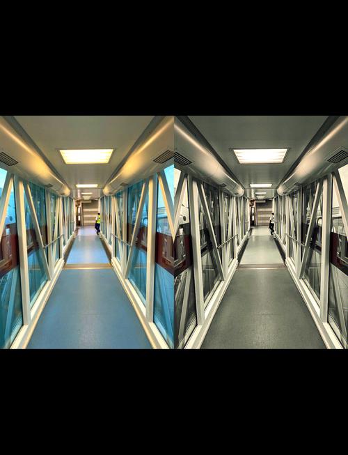 Lightroom视频教程该怎么学？-图3