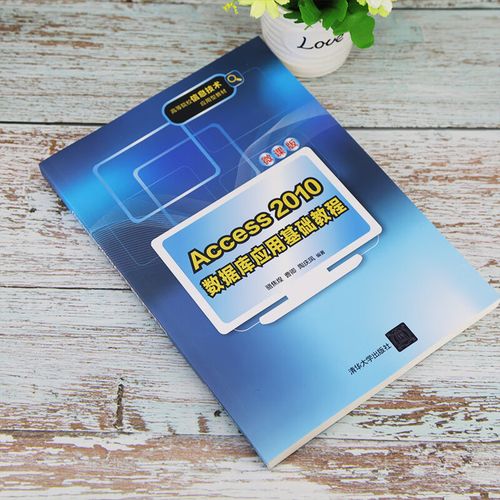 access 2010 教程-图2