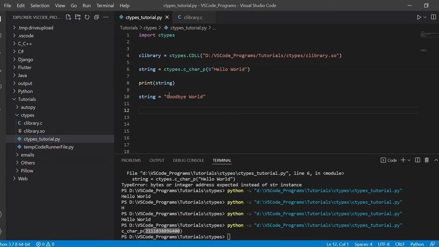 python ctypes char-图3