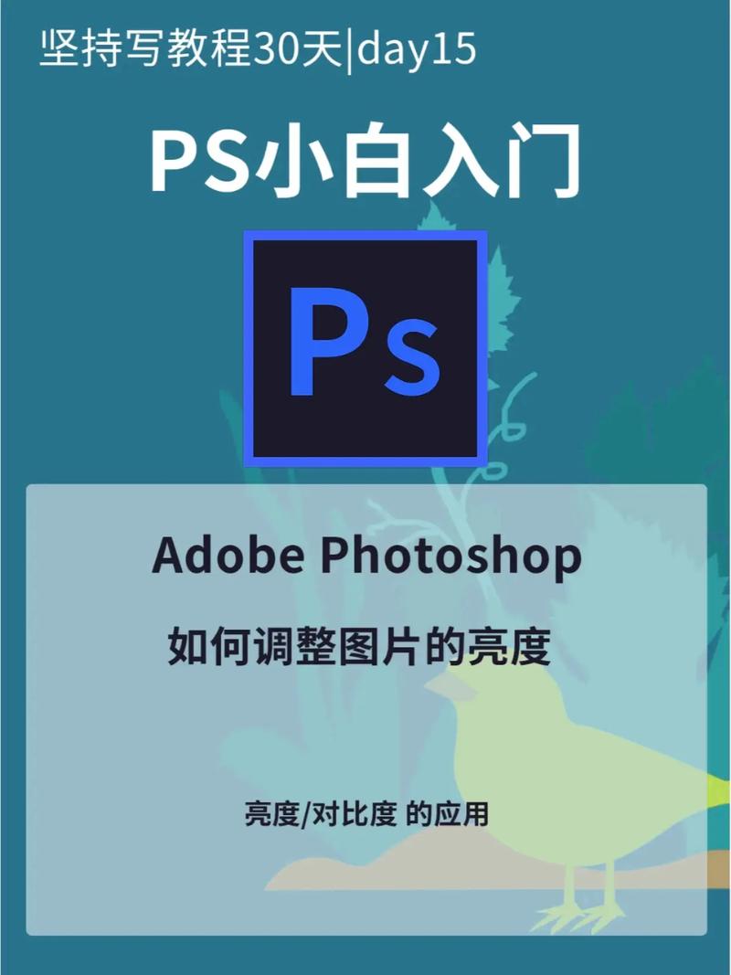 photoshop 教程下载-图3