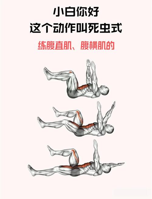 Fitnesse Python教程怎么用？-图1