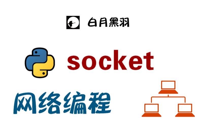 python socket fork-图1