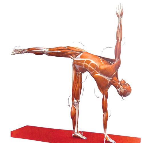 男士瑜伽入门，哪些基本动作必学？-图2