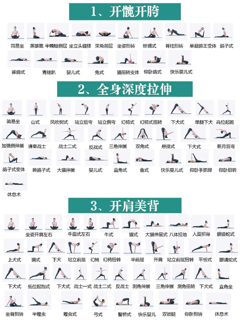 瑜伽视频教程初级全套免费下载-图2 瑜伽视频教程初级全套免费下载-图2