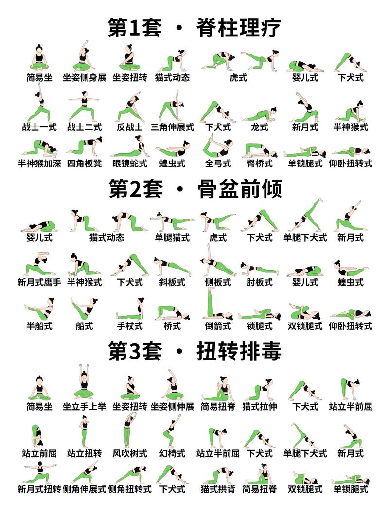 瑜伽视频教程初级全套免费下载-图3