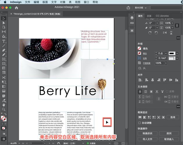 indesign cs3教程-图3