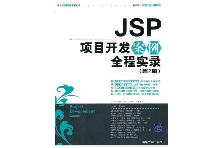 Java项目开发全程实录PDF，如何系统学习实战？-图1