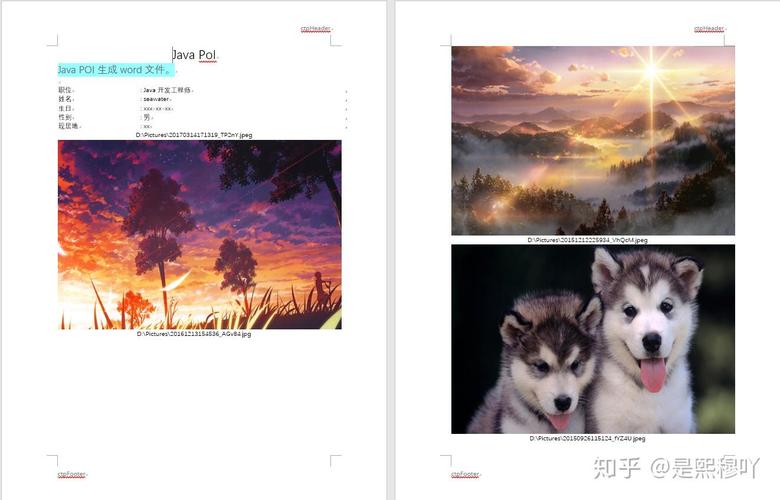 java poi 生成 word-图2