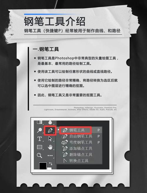PS钢笔工具怎么用？新手必学技巧有哪些？-图3
