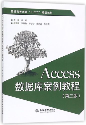 Access数据库设计如何高效规范？-图1