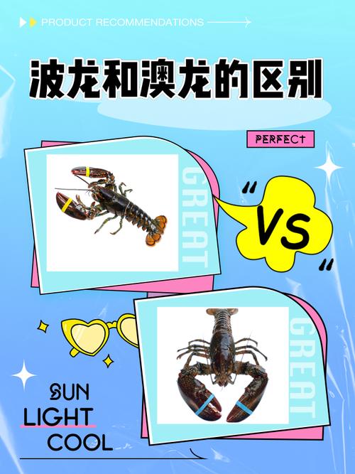 Java中long和long有何区别？-图1