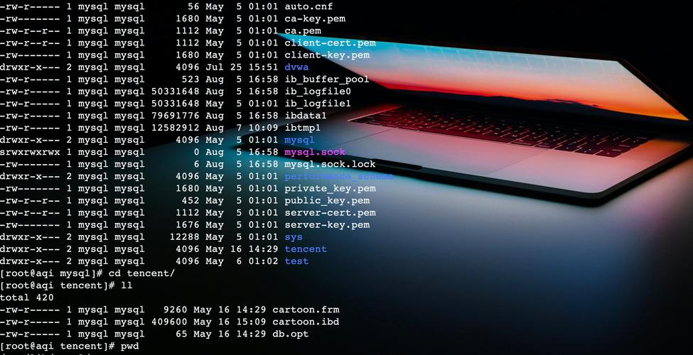 Java中Berkeley DB如何高效使用？-图1