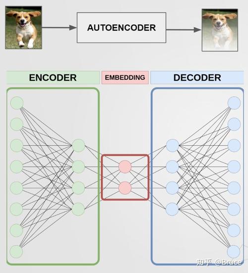 Python实现自编码器有哪些关键步骤？-图3