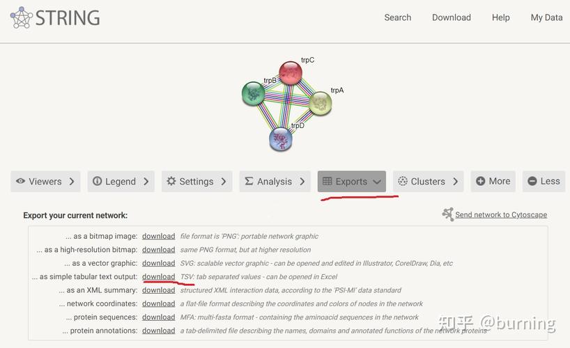 Java args如何正确传递与解析？-图1