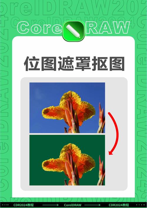 CorelDraw海报教程从哪学起？-图2