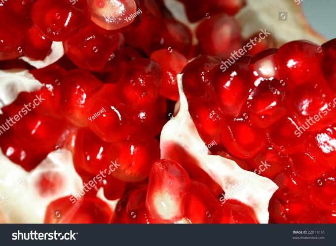 pomegranate python-图2