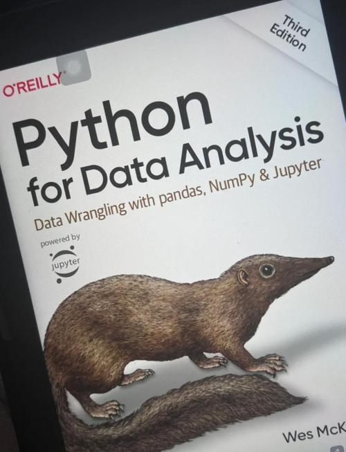 Python AutoNotebook是什么？如何用？-图2