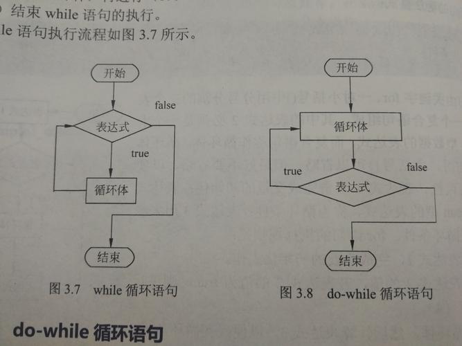 Processing教程怎么学？入门到精通指南-图3