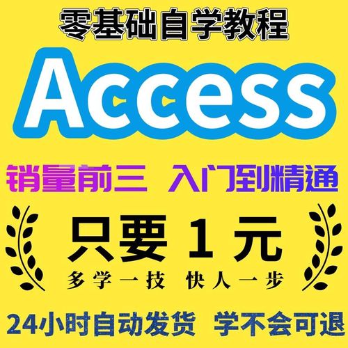 如何下载Access视频教程？-图2