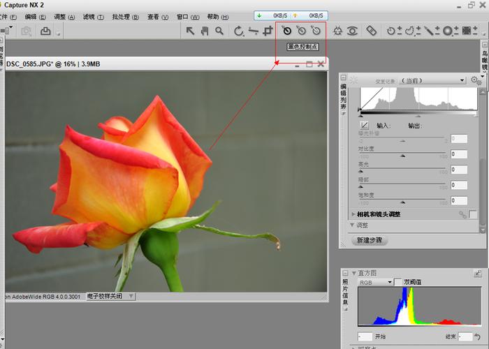 Capture NX2教程从哪开始学?-图2 Capture NX2教程从哪开始学?-图2