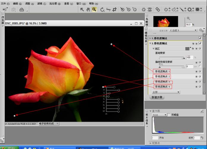 Capture NX2教程从哪开始学?-图3 Capture NX2教程从哪开始学?-图3