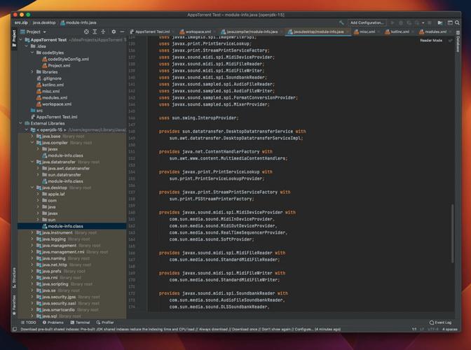 mac如何安装Java运行时环境？-图3