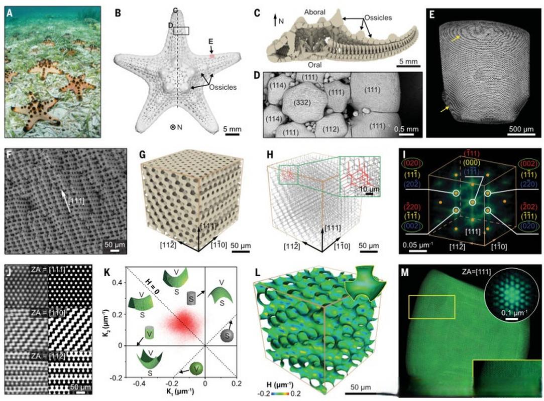 Python tolowercase方法如何使用？-图1