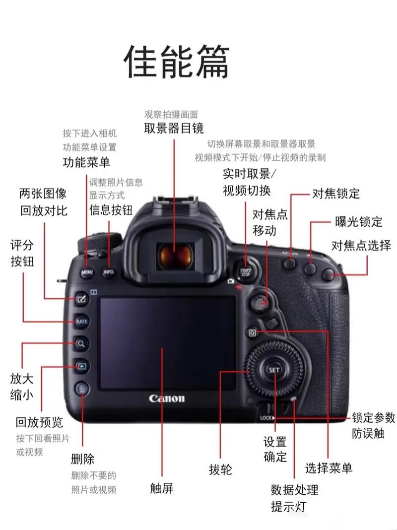 5D Mark III新手如何快速上手？-图1