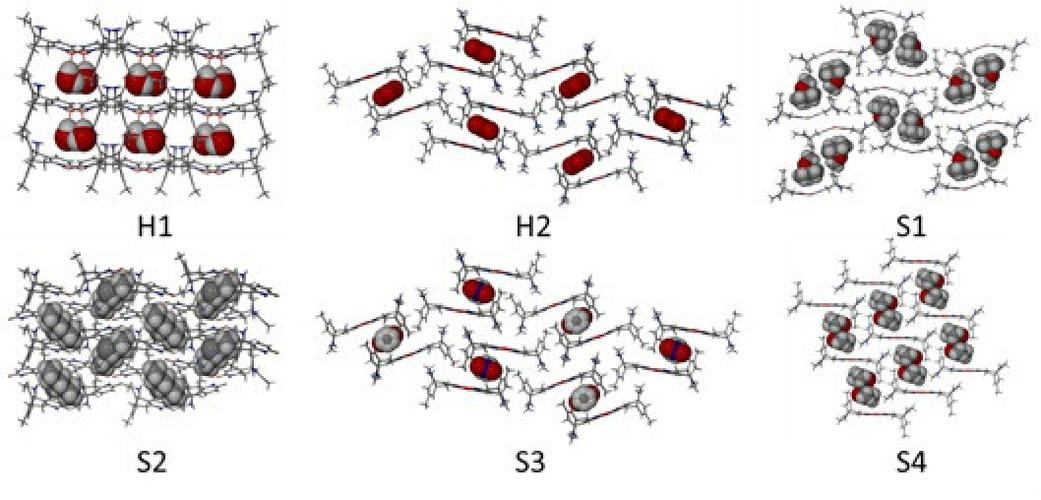 Python多态如何实现？-图2