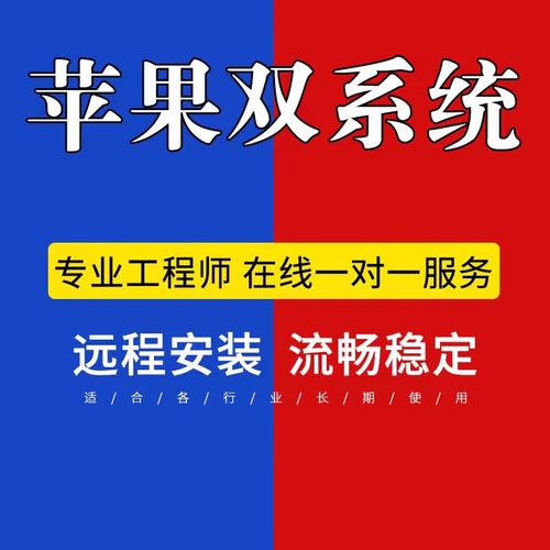 苹果双系统安装教程u盘安装-图2