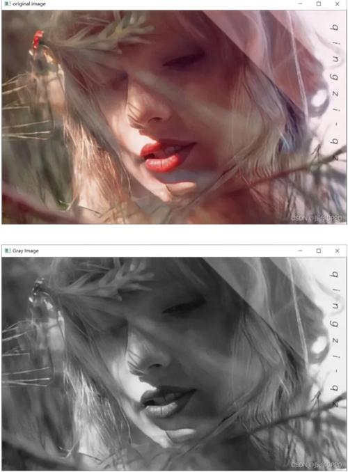 Python如何实现图像灰度化处理？-图3