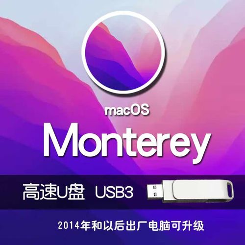 mac如何用U盘安装双系统？-图1