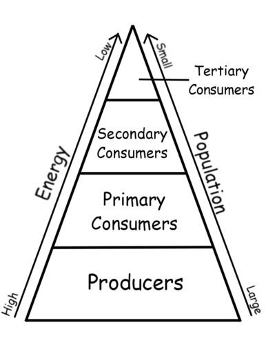 Flash AS入门教程怎么学？-图1