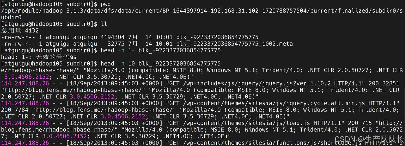 Hadoop删除文件Java代码怎么写？-图1