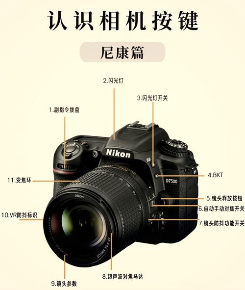 尼康单反新手如何快速上手？-图1